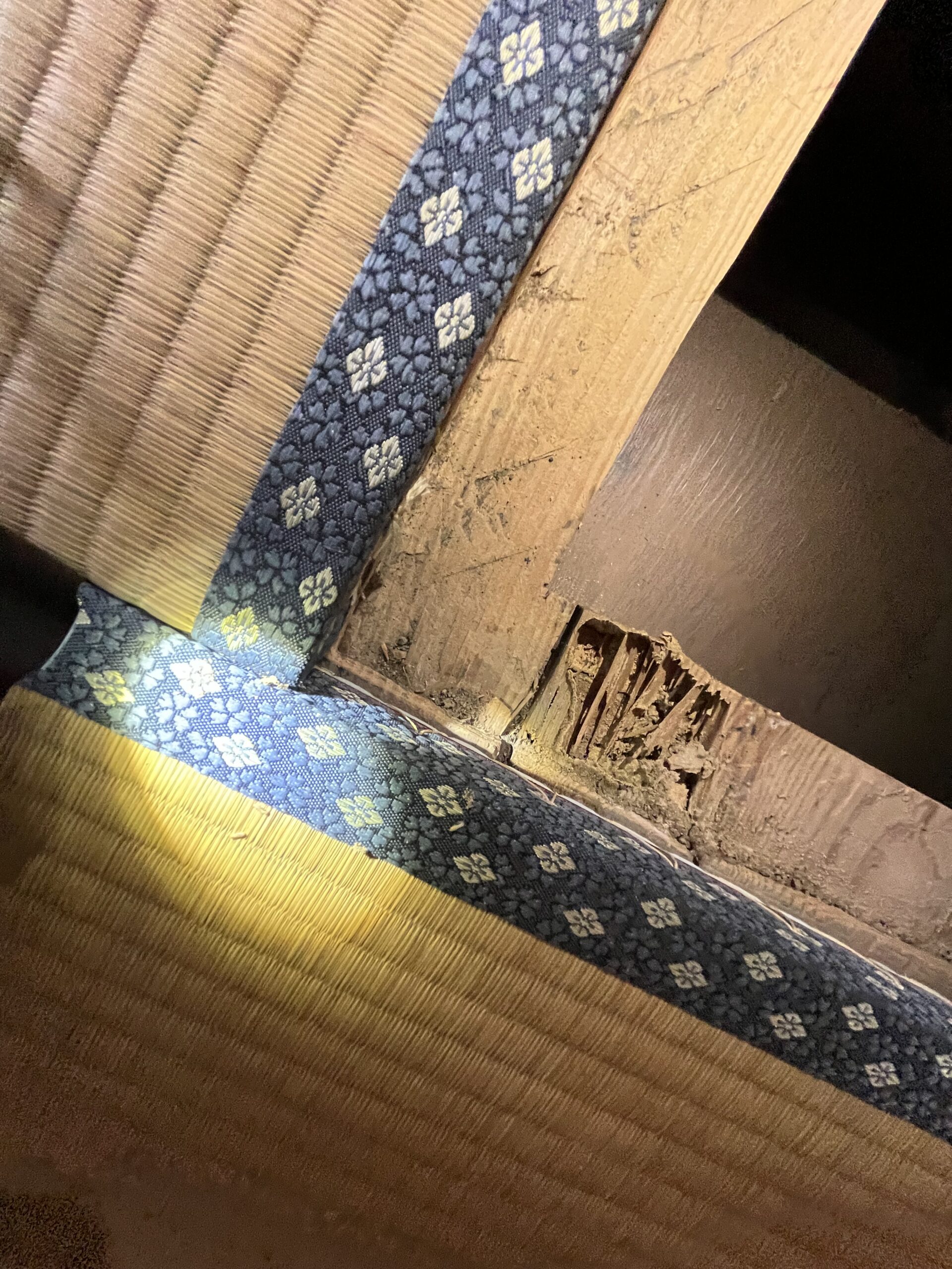 畳と柱の境目に広がるシロアリ食害と土|蟻道(土のトンネル)侵入痕
