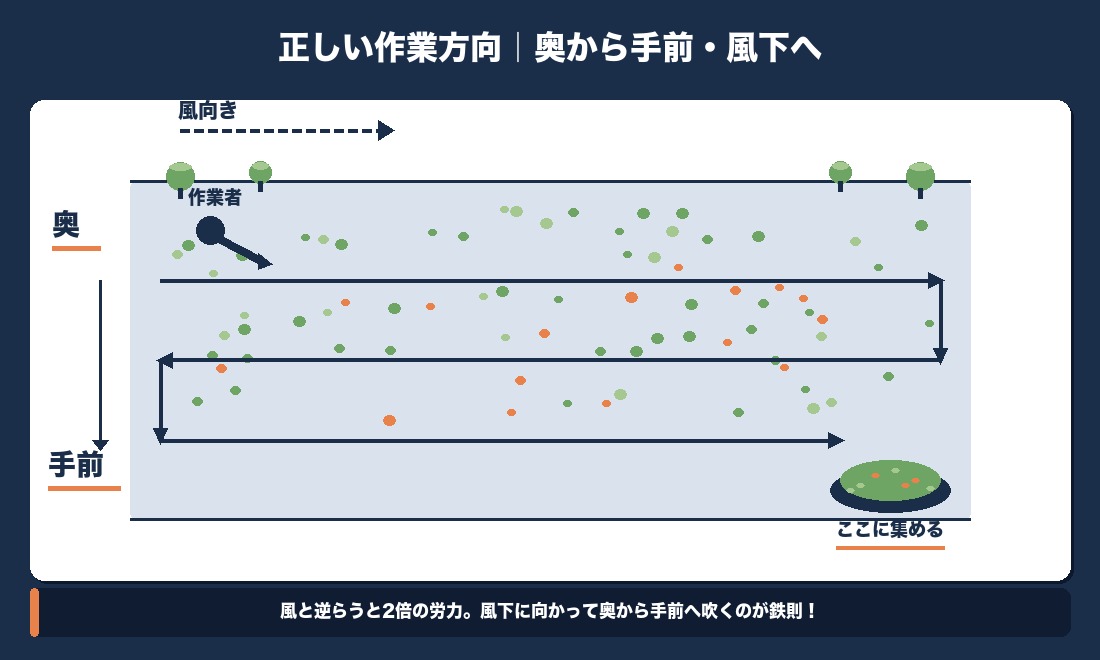 ブロワーの正しい作業方向｜奥から手前・風下方向に向かって作業する俯瞰図