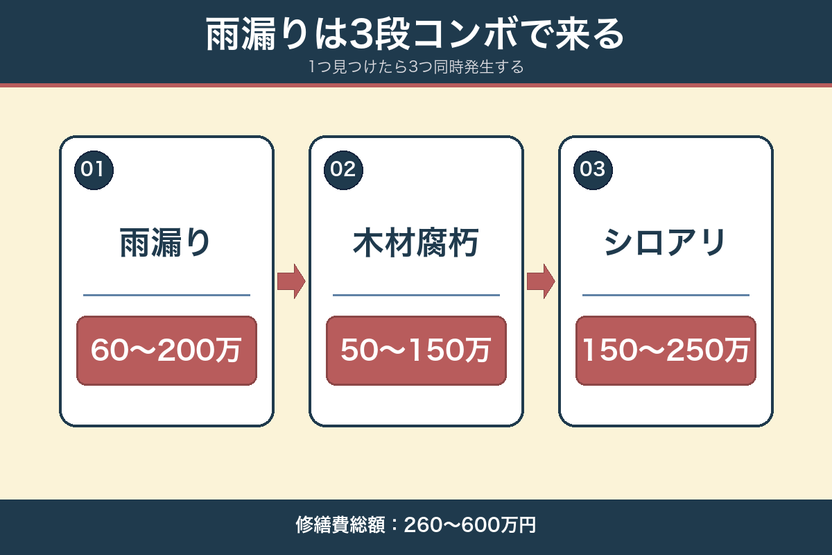 雨漏り→木材腐朽→シロアリの三段コンボと修繕費総額260〜600万円