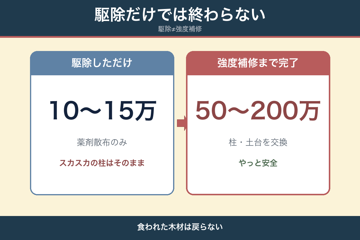 シロアリ駆除10〜15万円 vs 構造補修50〜200万円 — 駆除だけでは終わらない