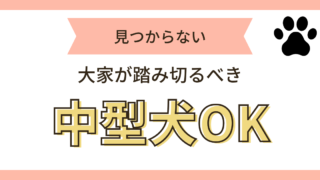 中型犬OK｜大家が踏み切るべき｜rent-nyukyo-hokenテンプレベースCanva作成