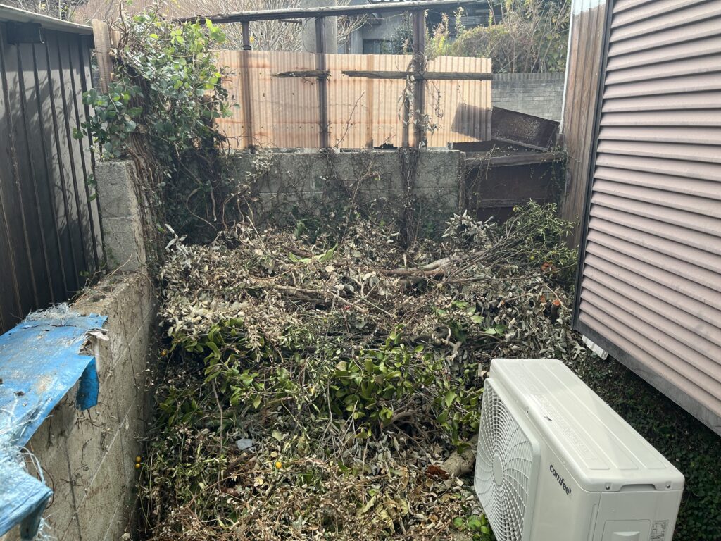 草木のカット　